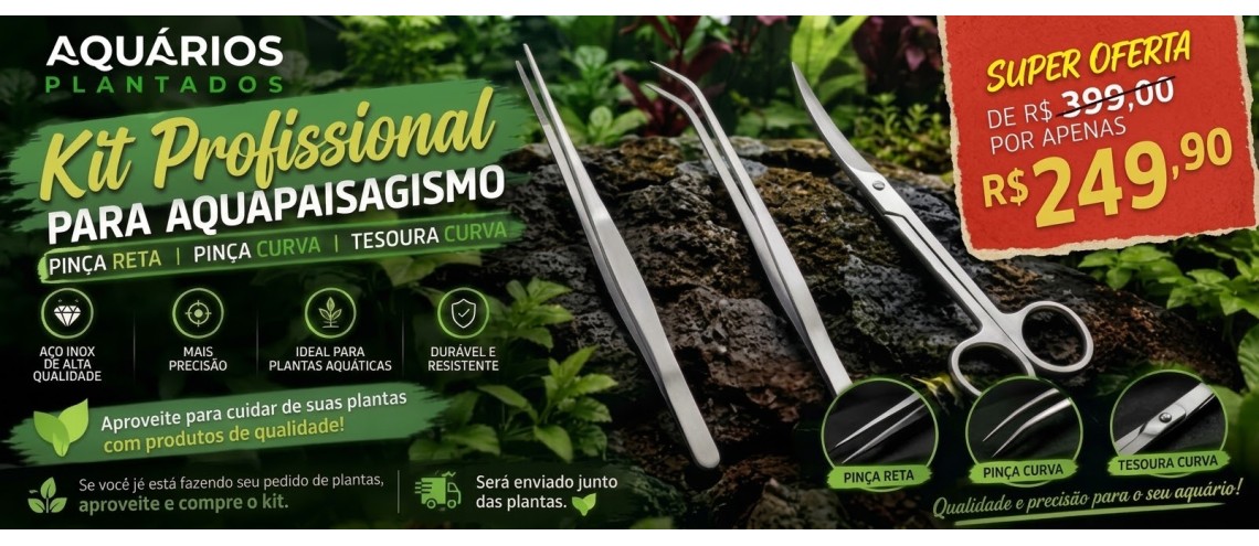 OFERTA