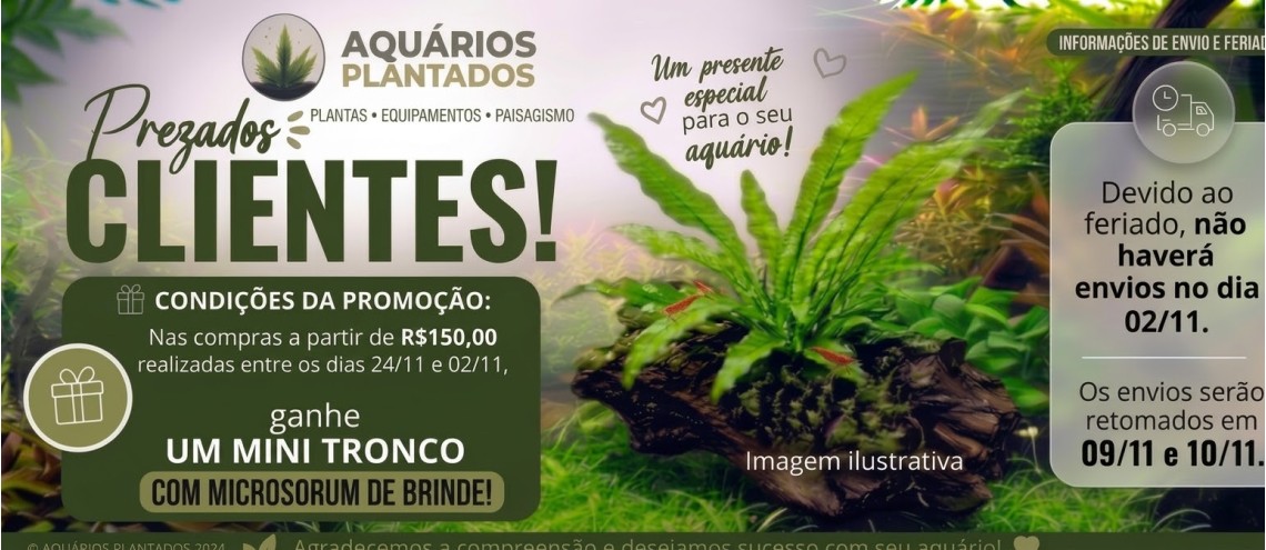 Brinde feriado