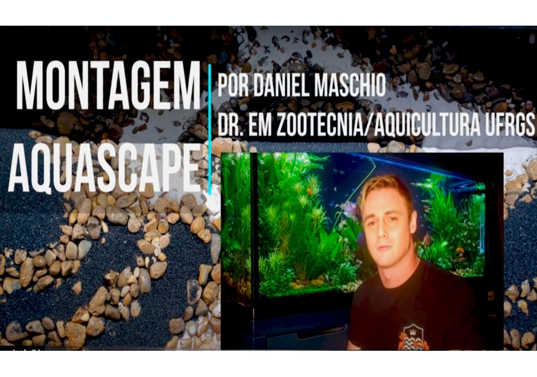 MONTAGEM AQUASCAPE POR DR. DANIEL